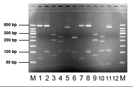凝膠01.jpg 凝膠01.jpg